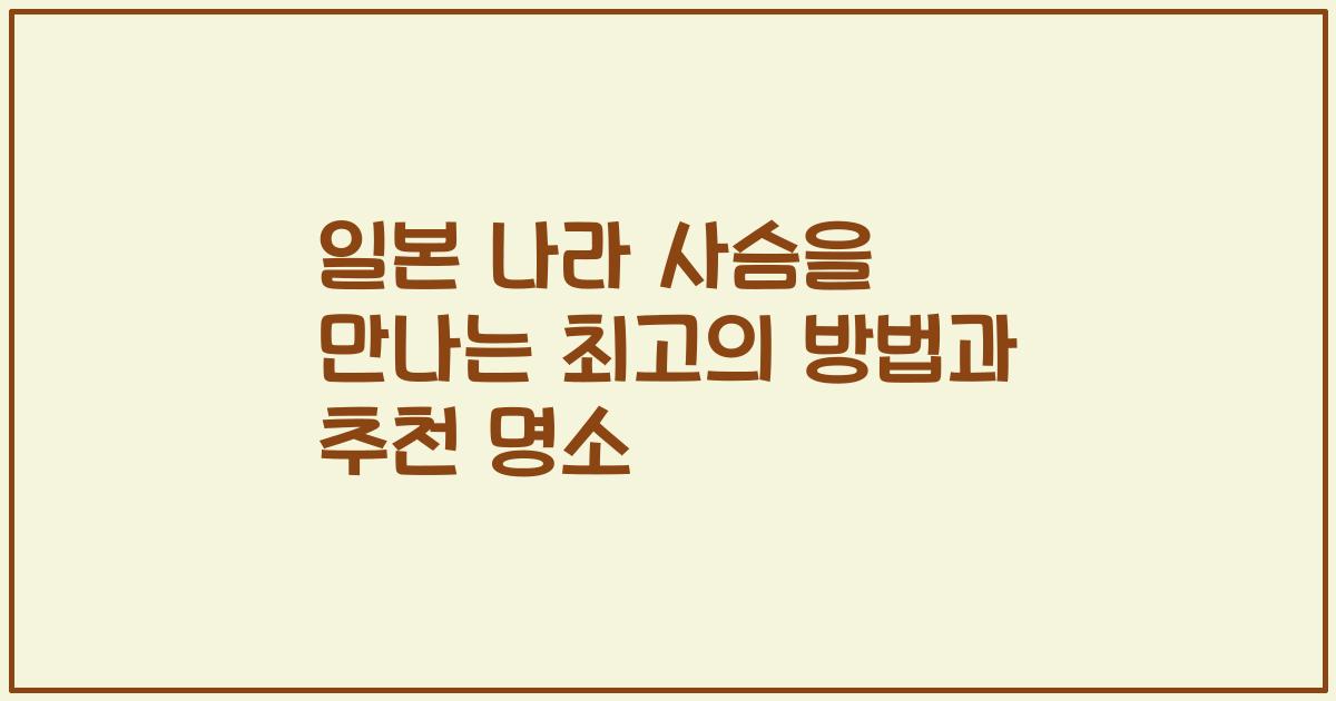 일본 나라 사슴을 만나는 최고의 방법과 추천 명소